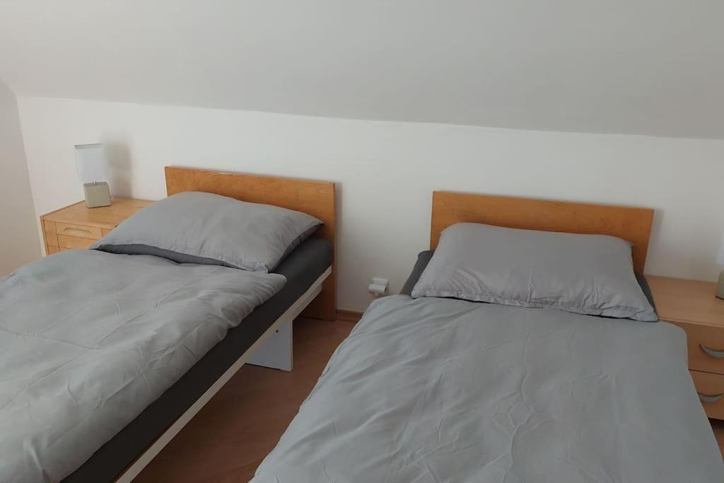 House, 5 Bedrooms-9 Beds - Prague